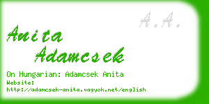 anita adamcsek business card